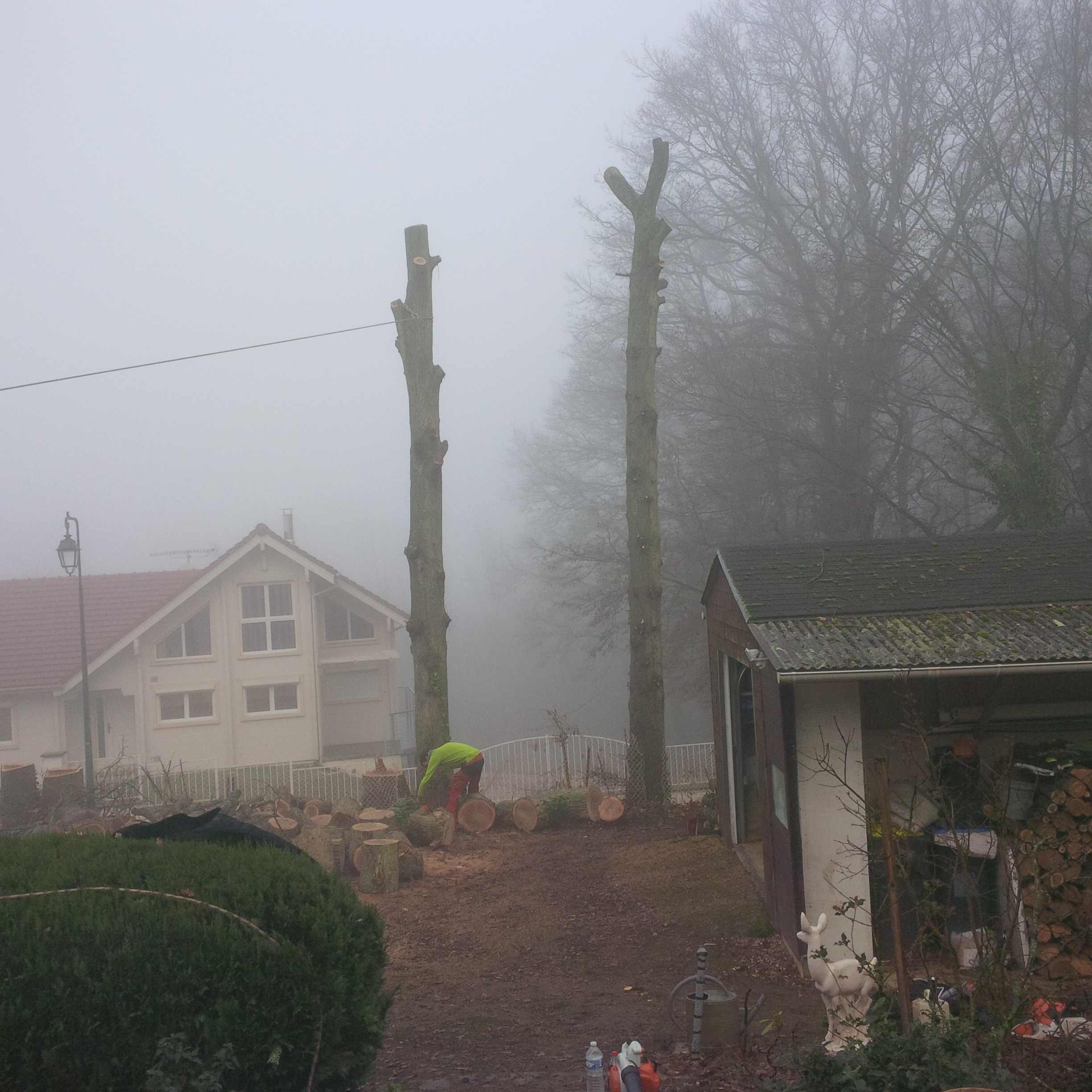 elagage abattage Boissy le Châtel 77169